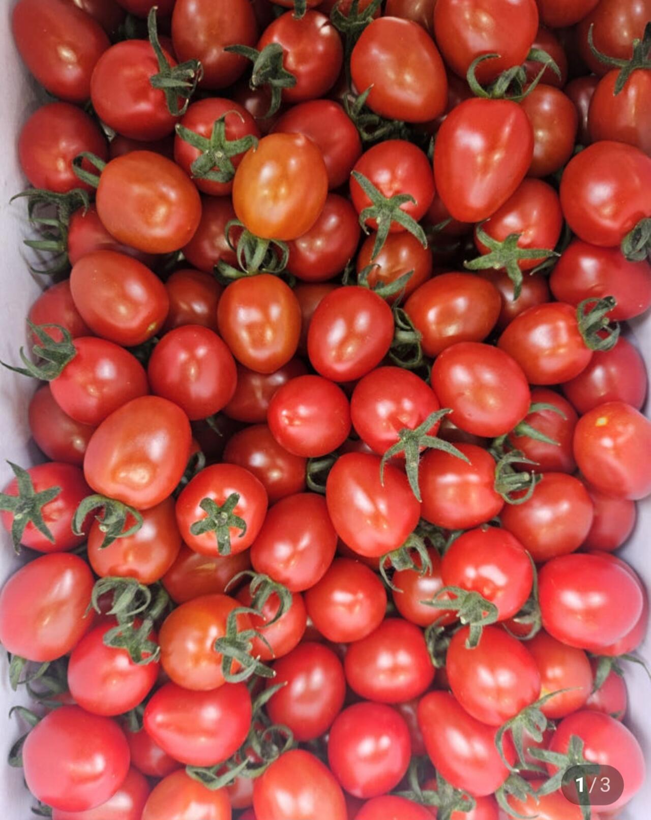 1000057958.jpg [네이버] 대추 방울토마토 5kg (11,580원) (무료)