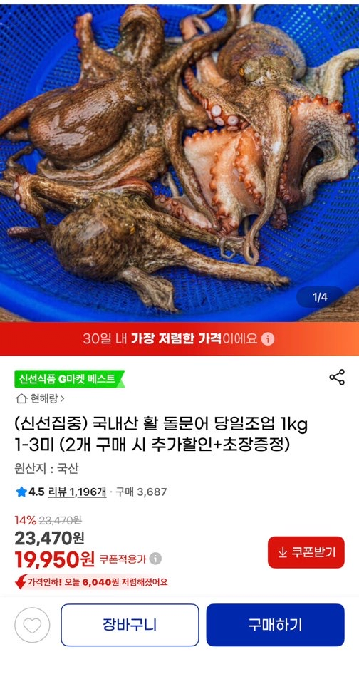 image.png [지마켓] 국내산 활 돌문어 당일조업 1kg 1-3미 (2개 구매 시 추가할인+초장증정) (19,950원) (무배)