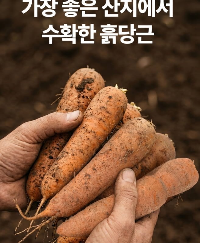 20260709190522_527YgOrQlK.png