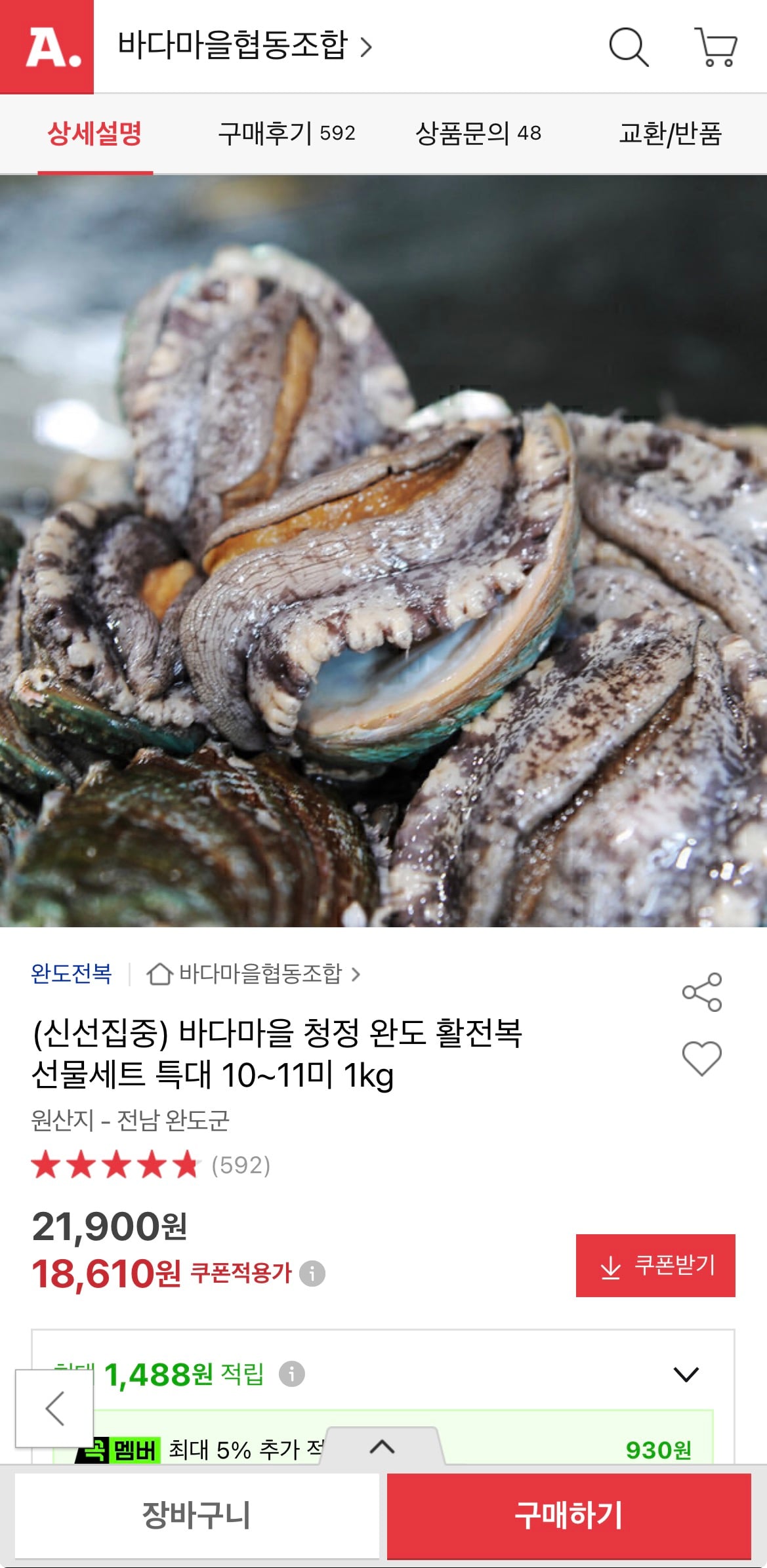 퀘이사존
