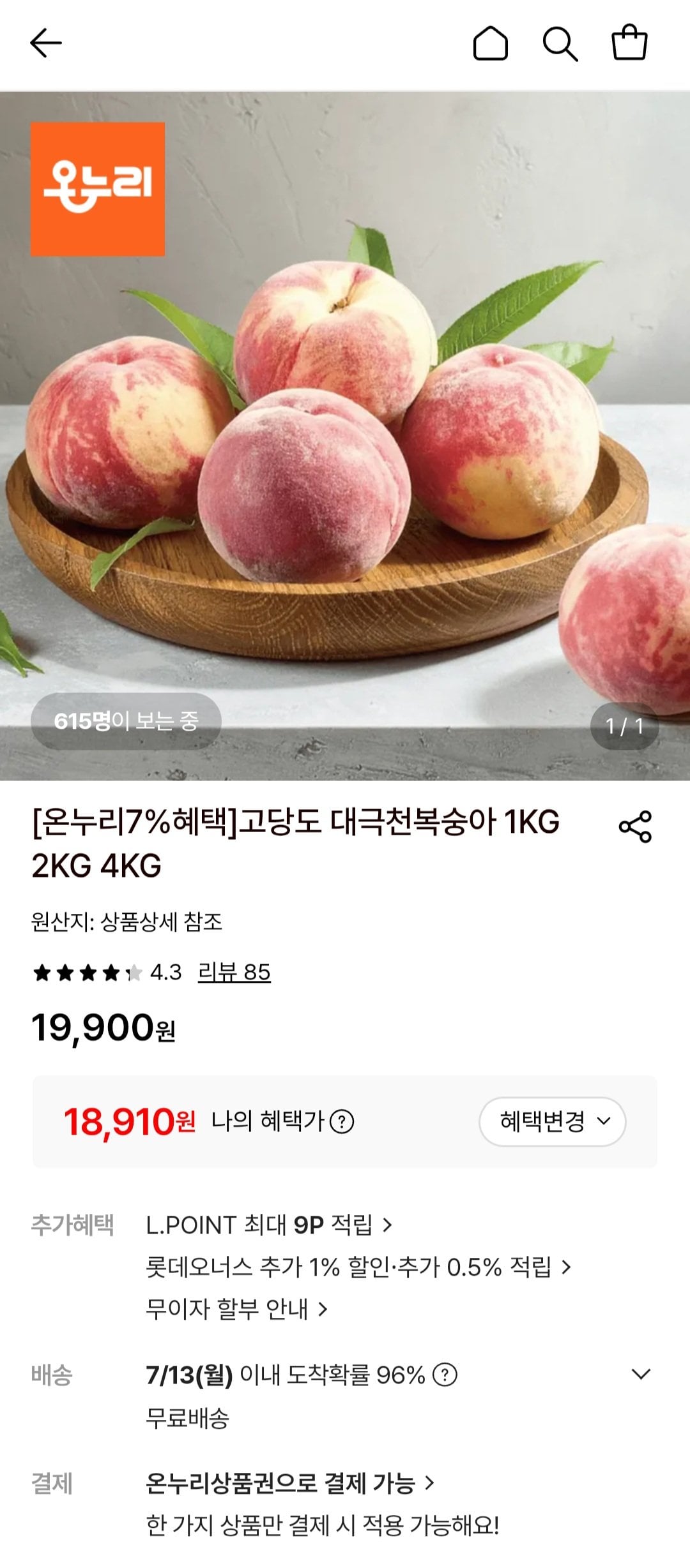 [롯데온] 대극천 복숭아 로얄과 4kg (18,910원) (무료)