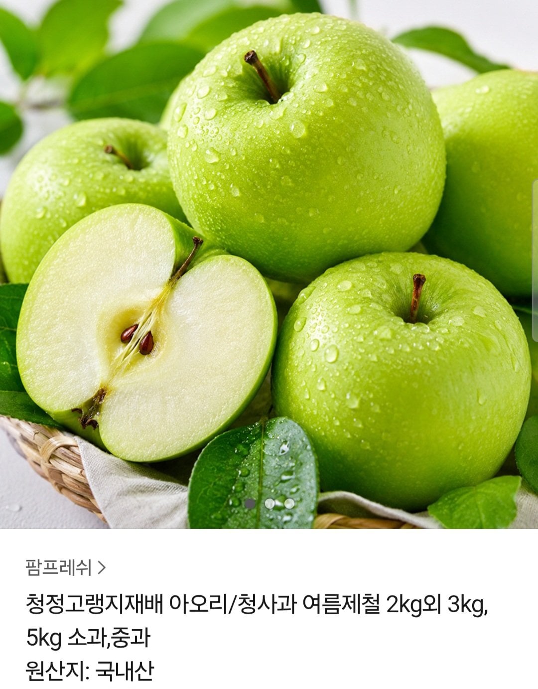 1000103898.jpg [카카오] 청정고랭지재배 아오리 청사과 2kg (8,500원) (무료)