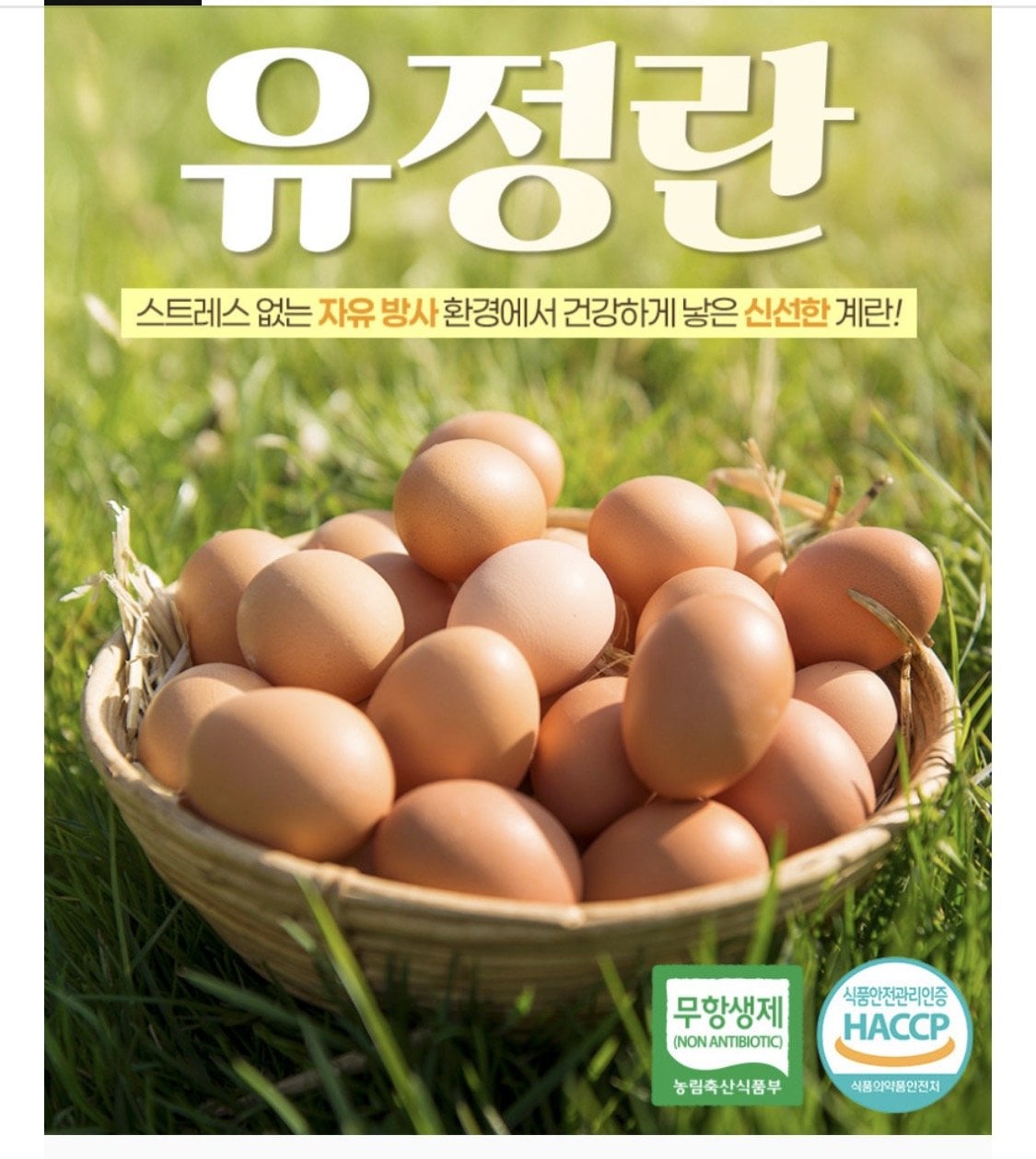 1783904561875.jpg [네이버] 푸페선착 난각번호1번 유정란 20구 x 2판 (14,230원) (네멤무배)