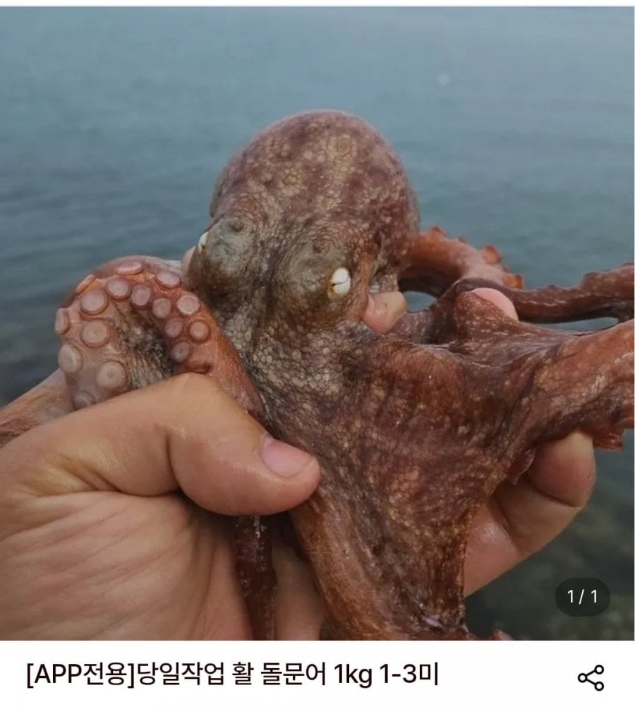 20260713101407_MBu9UHhczi.png