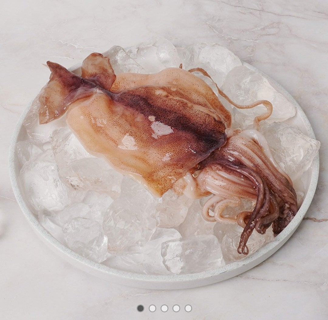 1000103944.jpg [톡딜] 냉동오징어 구이 볶음용 500g (12,060원) (무배)