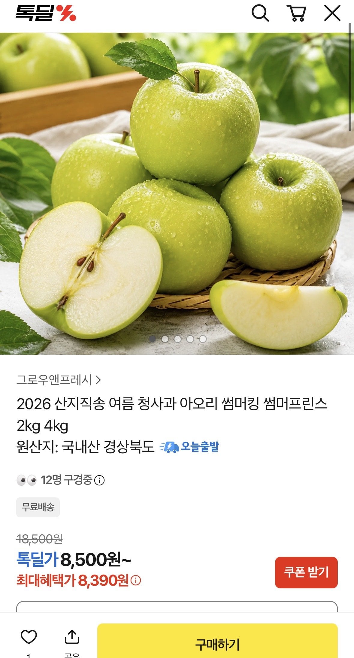 [카카오] 썸머킹 사과 2kg (8,390원) (무료)