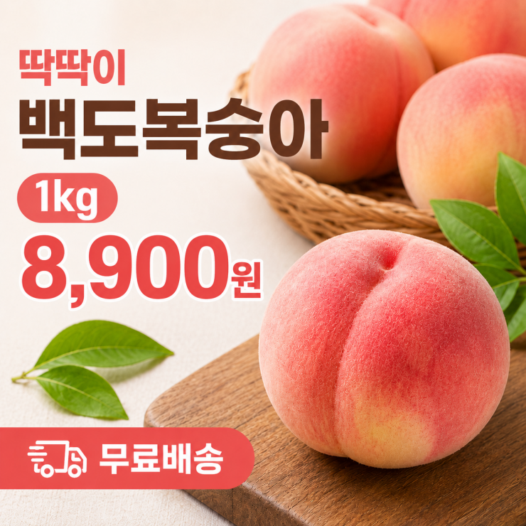 퀘이사존