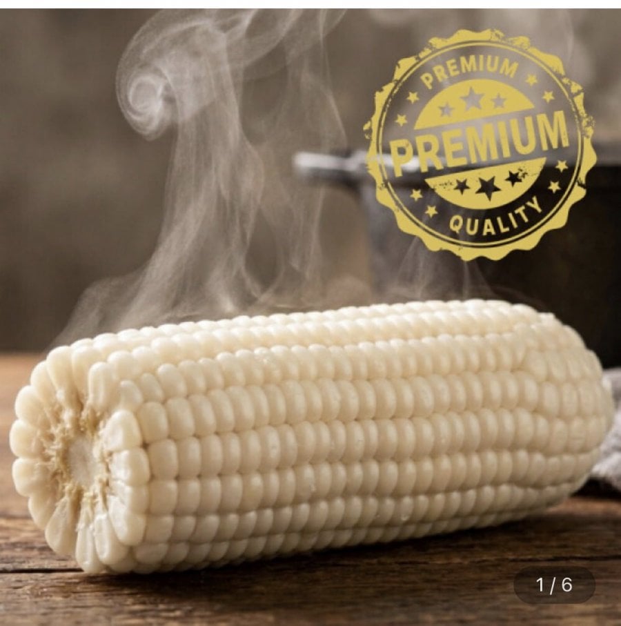 20260714102614_rqtOkfl96U.jpg