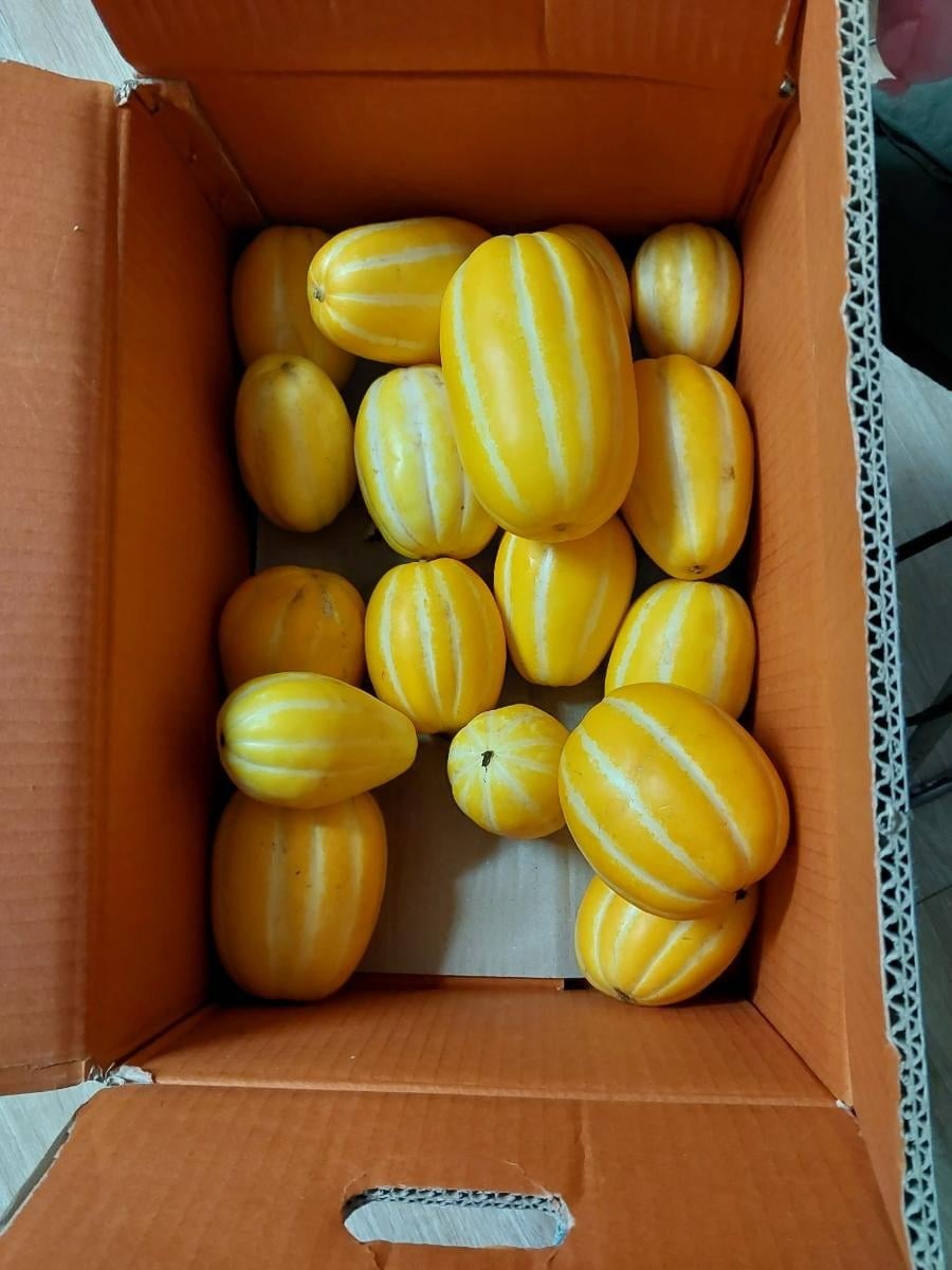 20260714104803_oQpT60zKu2.png