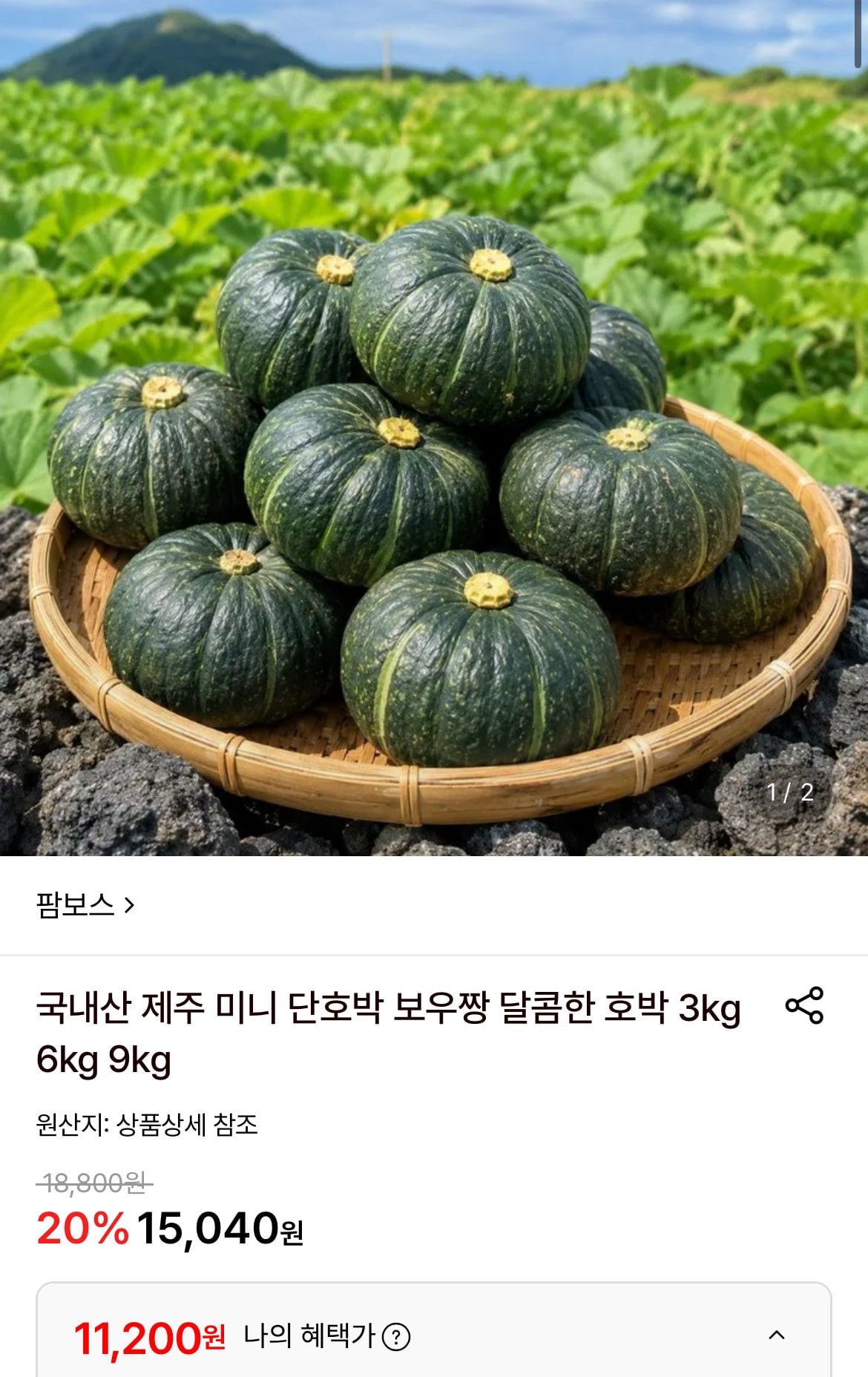 [롯데온] 국내산 제주 미니 단호박 6kg 로얄과 (11,200원) (무료)
