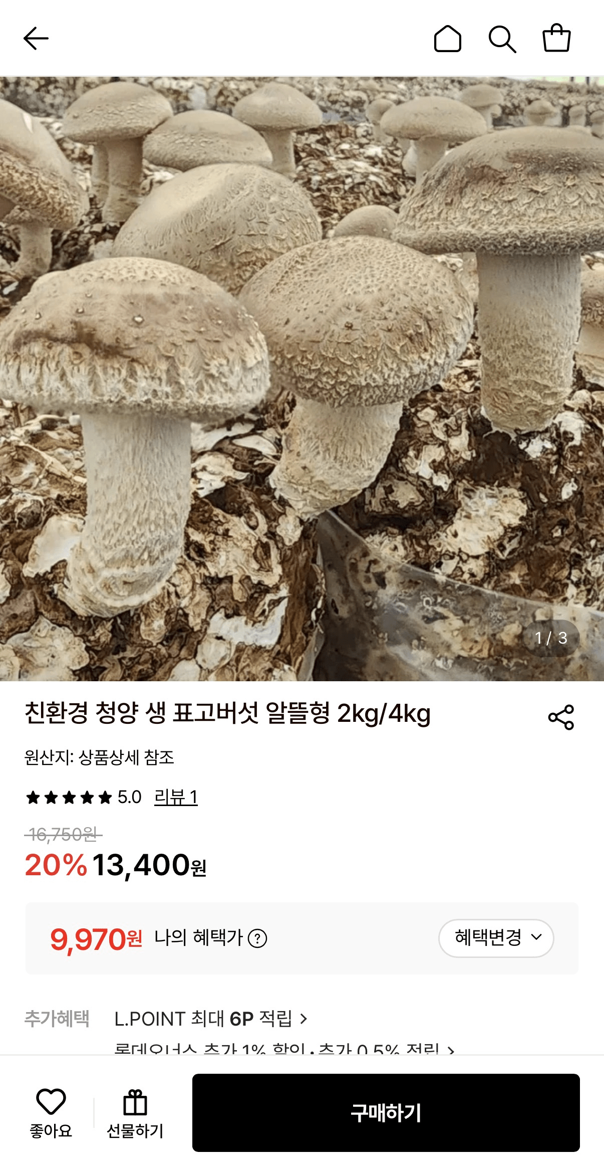 image.png [롯데온] 친환경 청양 생 표고버섯 알뜰형 2KG (9,970원) (무료)