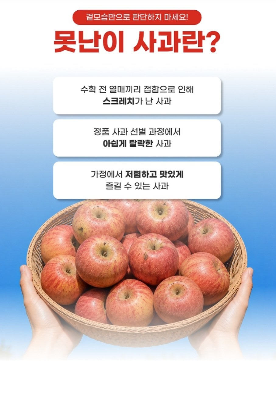 1000104035.jpg [톡딜] 못난이 사과 10kg (9,900원) (무배)