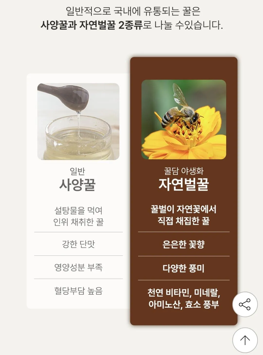 Screenshot_20260721_170126_G.jpg [지마켓] 자연벌꿀 베트남 야생화꿀 2kg x 2병 (25,980원) (무료)