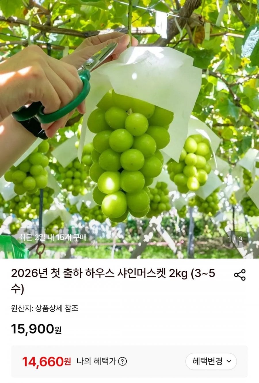 20260723153130_lMrjR8eoch.jpg