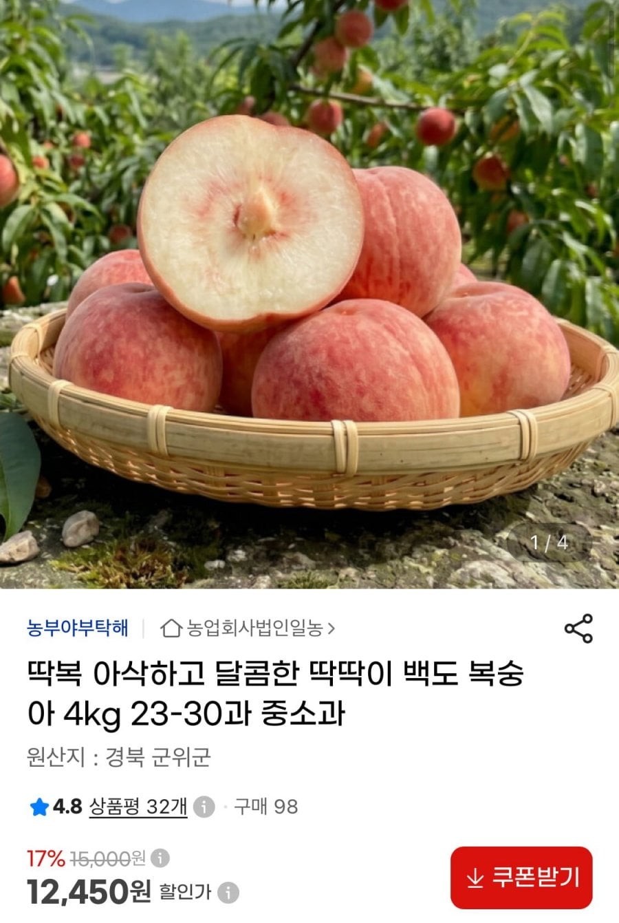 20260724210029_rYcEMWR9us.jpeg