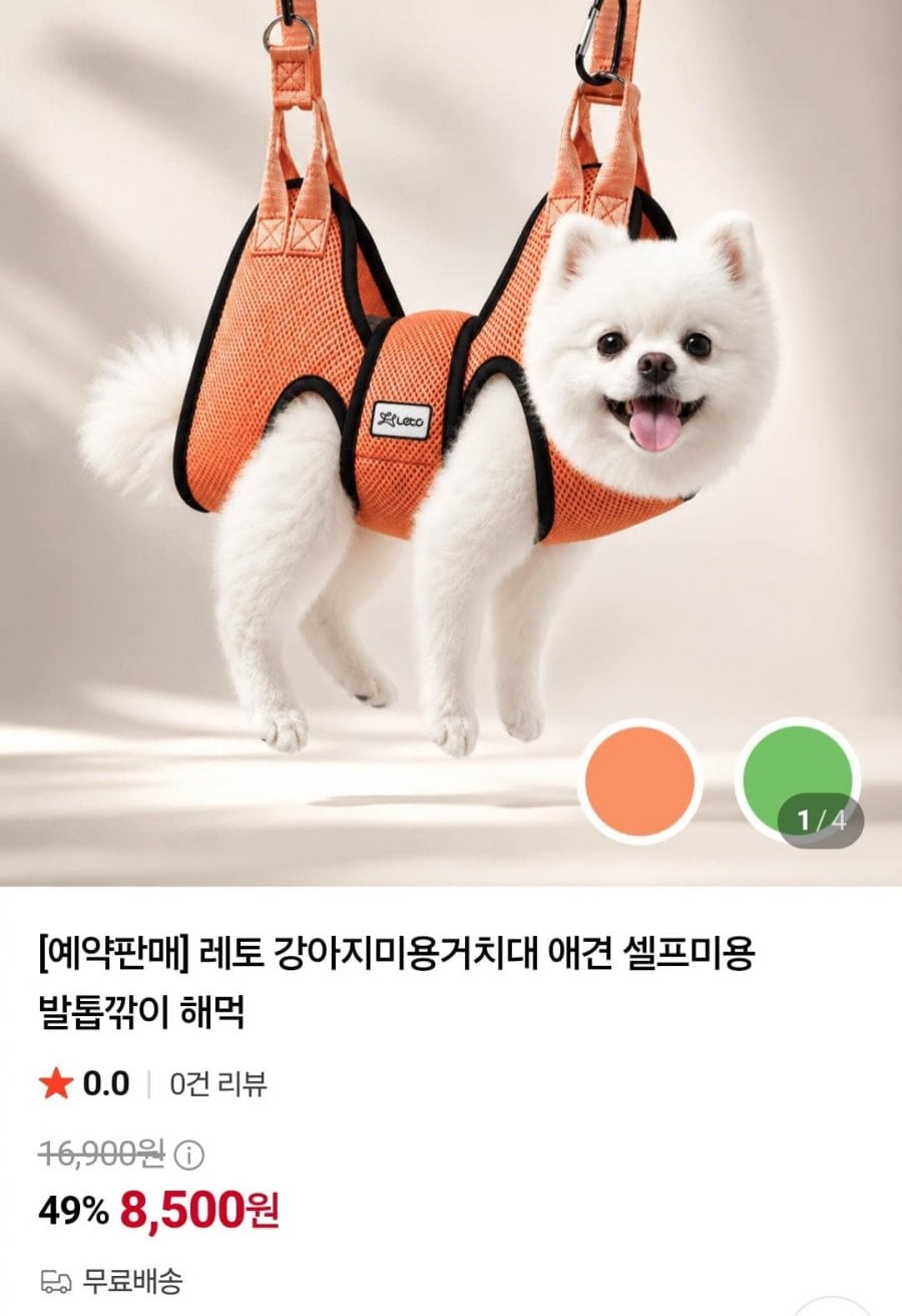 20260724205154_UjzE9ihhJp.jpg