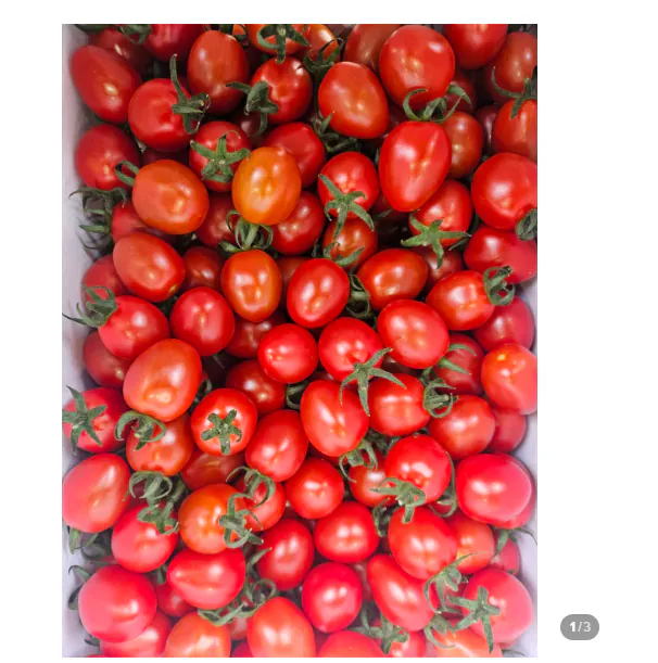 image.png [네이버] 대추 방울토마토5kg (11,580원) (무료)
