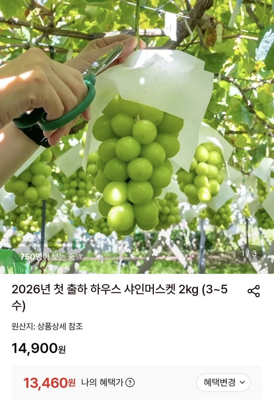 20260725143220_S4uR1ZbUOO.jpg