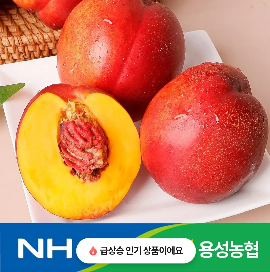 1000104826.jpg [Kakao] Mật hoa Cheonhong nội địa lớn trái cây 2kg (11.840 won) (miễn phí)