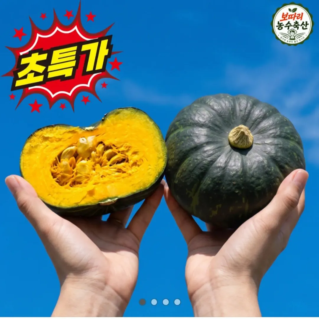 [톡딜] 제주산 미니밤호박 5kg