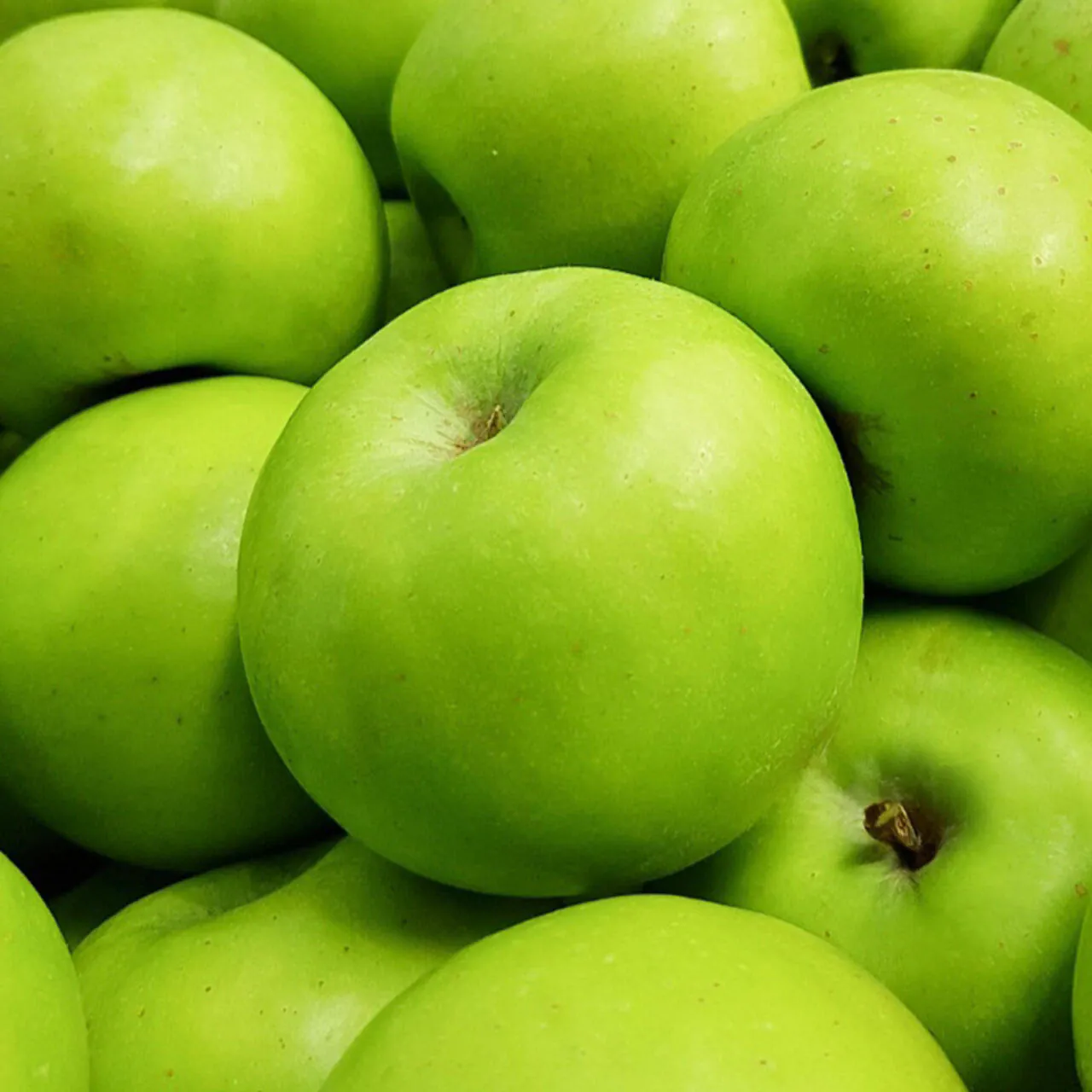 8466954326_236639366.jpg [11th Street] Aori Summer King Green Apple 7kg (13.580 KRW) (Miễn phí)