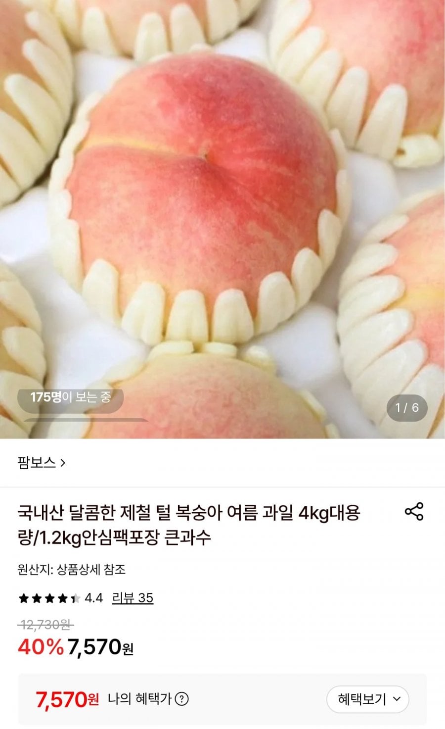 20260806205730_LupbQKPzAM.jpg