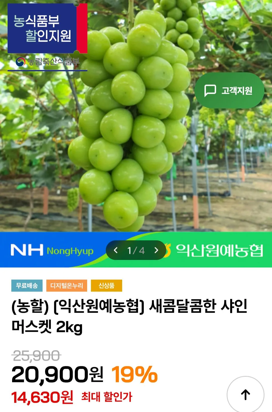 [인더마켓] 익산원예농협 새콤달콤한 샤인머스켓 2kg