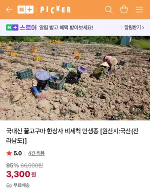 국내산 꿀고구마 한상자 비세척 만생종