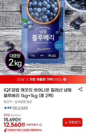 칠레산 냉동블루베리 1kg+1kg (총 2팩)