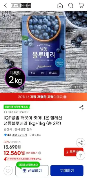 칠레산 냉동블루베리 1kg+1kg (총 2팩)