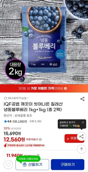 씻어나온 칠레산 냉동블루베리 2kg