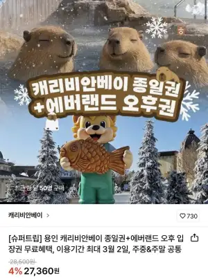 용인 캐리비안베이 종일권+에버랜드 오후 입장권