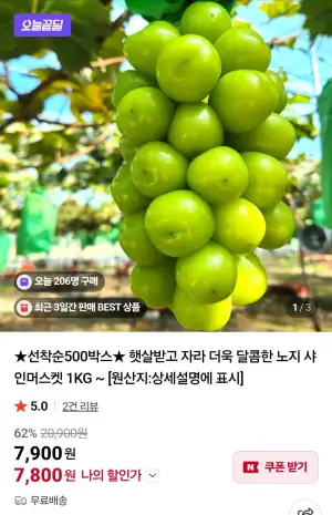 햇살받고 자라 더욱 달콤한 노지 샤인머스켓 1KG