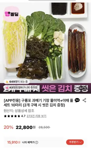 구룡포 과메기 기장 물미역+야채 풀세트 10마리