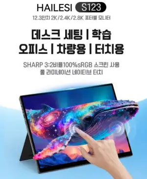 HAILESI S123 1.9K/2.4K 12.3인치 터치식 휴대용 모니터