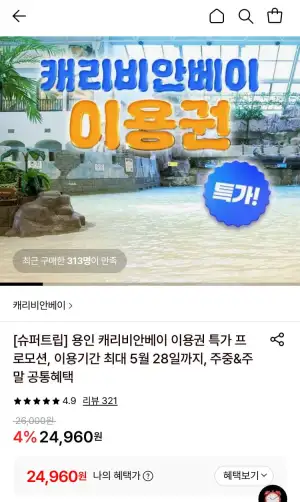 캐리비안베이 로시즌 이용권