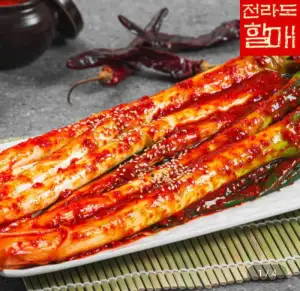 국내산 프리미엄 대파김치 2kg
