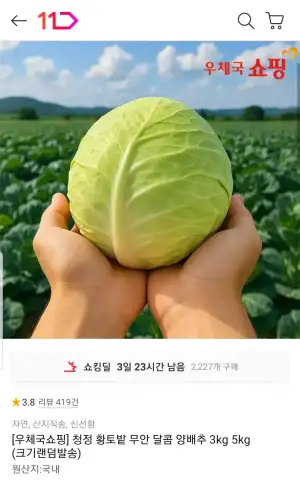 무안 양배추 3kg