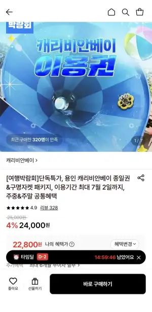 캐리비안베이 로시즌 이용권