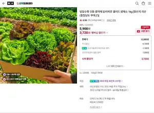 당일수확 모듬 쌈야채 유러피안 샐러드 쌈채소 1kg