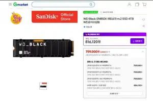WD Black SN850X 히트싱크 m.2 SSD 4TB
