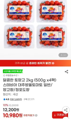 스테비아 대추방울토마토 일반/망고향/청포도향 2kg