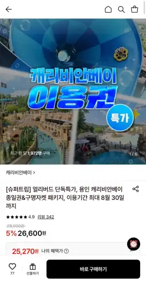 캐리비안베이 이용권 특가