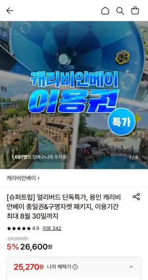 캐리비안베이 종일권