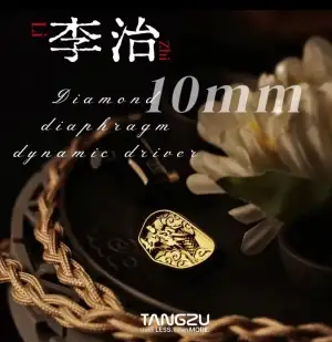 iem dac등등