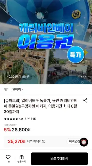 캐리비안베이 미들시즌 종일권