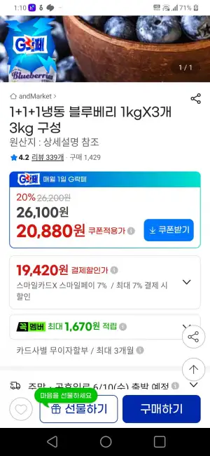 냉동블루베리1kg 3개