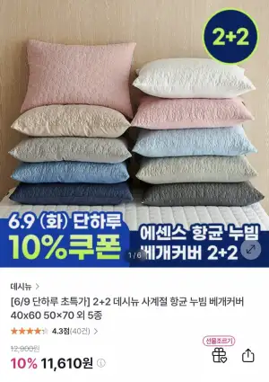 2+2 데시뉴 사계절 항균 누빔 베개커버 40x60 50x70 외 5종