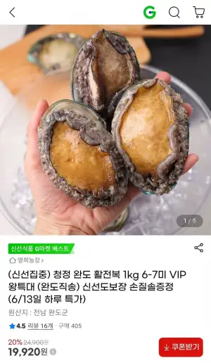 청정 완도 활전복 1kg 6-7미 VIP특대사이즈
