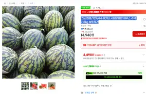 (신선집중/15%+NH10%) 시원달콤한 하우스 수박 7-8kg 하루특가